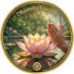 qCrSDnY5UXQ-channel-avatar-Dhamma Garden