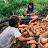 Aldeia Ava Guarani