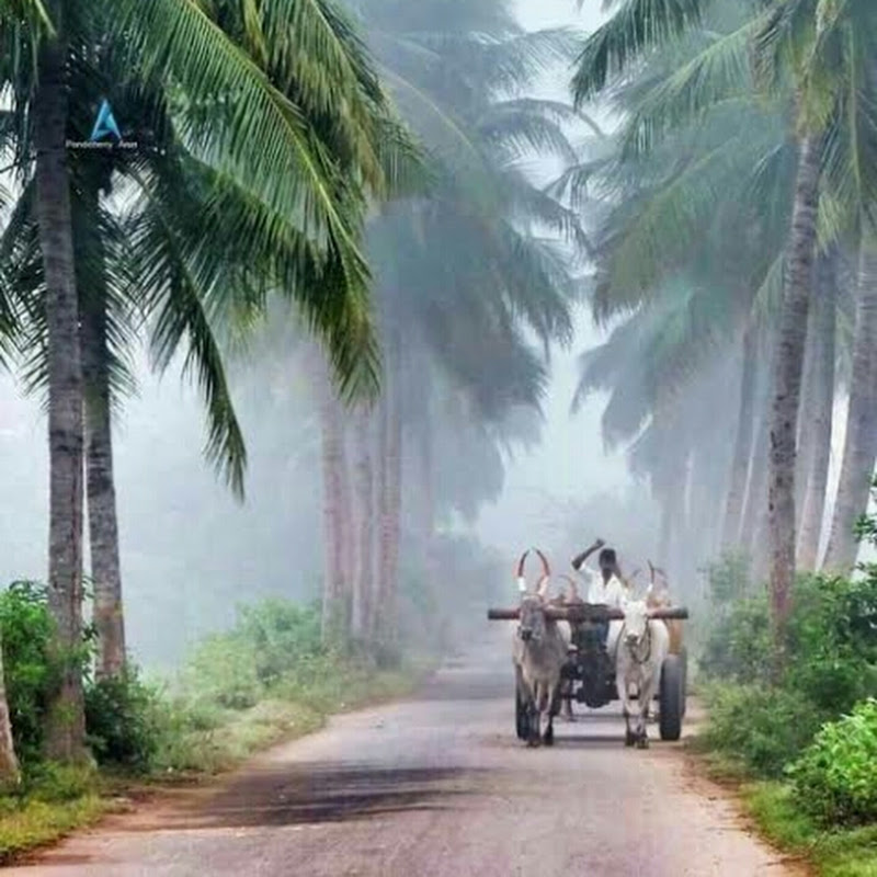 World Tamilanze(உலக தமிழர்கள்)