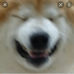 Jemabiwiアイコン画像