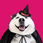 Fur Family  Image Thumbnail