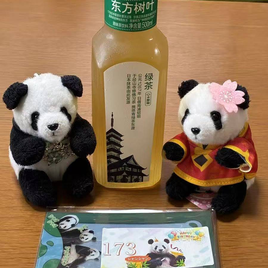 専用　シャンシャン　彩浜　楓浜 YouTube