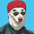 cwvvz43RGRQ-channel-avatar-VNDL
