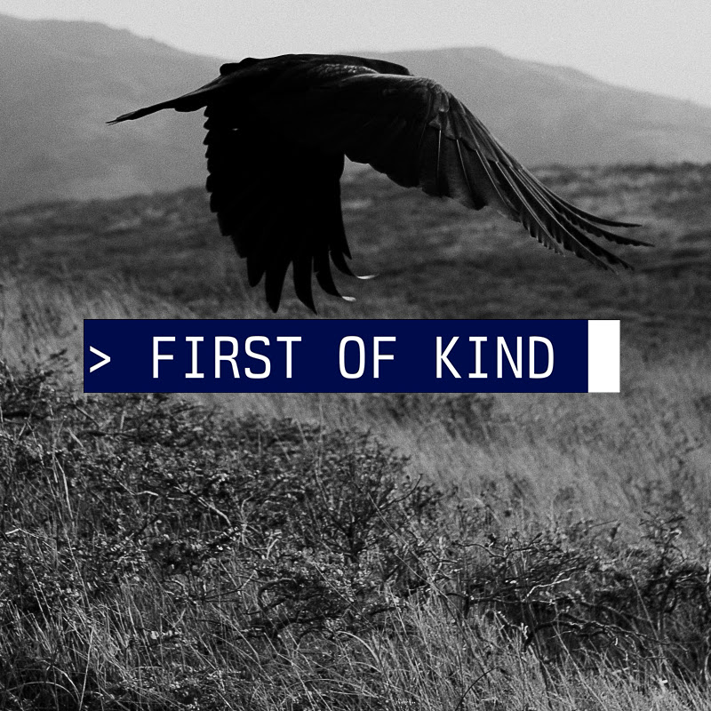 First of Kind › The Joe Gebbia interview