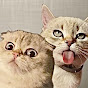 Миса и Лёлик Image Thumbnail