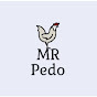 Mr Pedo logo