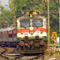 ar5wOGUOPpQ-channel-avatar-The Best of Indian Railways