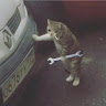 Автор