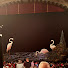 pMh4ke91S-k-channel-avatar-AKLconcertlive