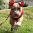 @justinhoward6075 Avatar