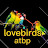 Lovebirds atbp