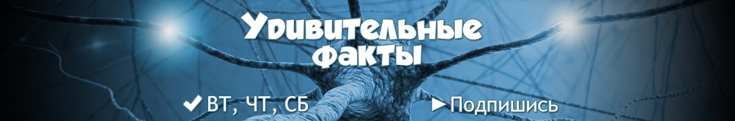 Ð£Ð´Ð¸Ð²Ð¸Ñ‚ÐµÐ»ÑŒÐ½Ñ‹Ðµ Ð¤Ð°ÐºÑ‚Ñ‹ Аватар канала YouTube
