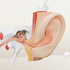 Điều trị viêm tai giữa