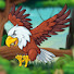 Ihrvpx5-B40-channel-avatar-Natureza Selvagem