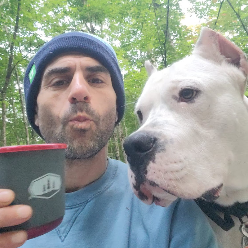 The Peaceful Alpha - Jesse Sternberg