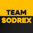 mHVpPtD9zoI-channel-avatar-Team sodreX 