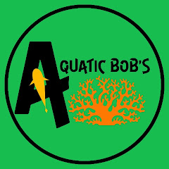 AquaticBobs Avatar