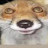 @YeeEtthefox