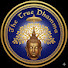 58oqKyrIbzY-channel-avatar-THE TRUE DHAMMA