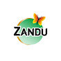 ZanduCare Official logo