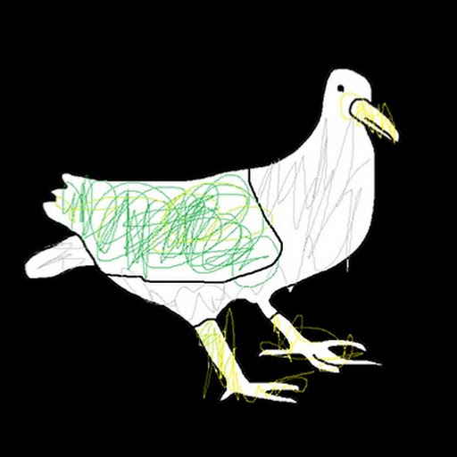Pigeon R6