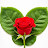 avatar of @rajaobaid-q8c