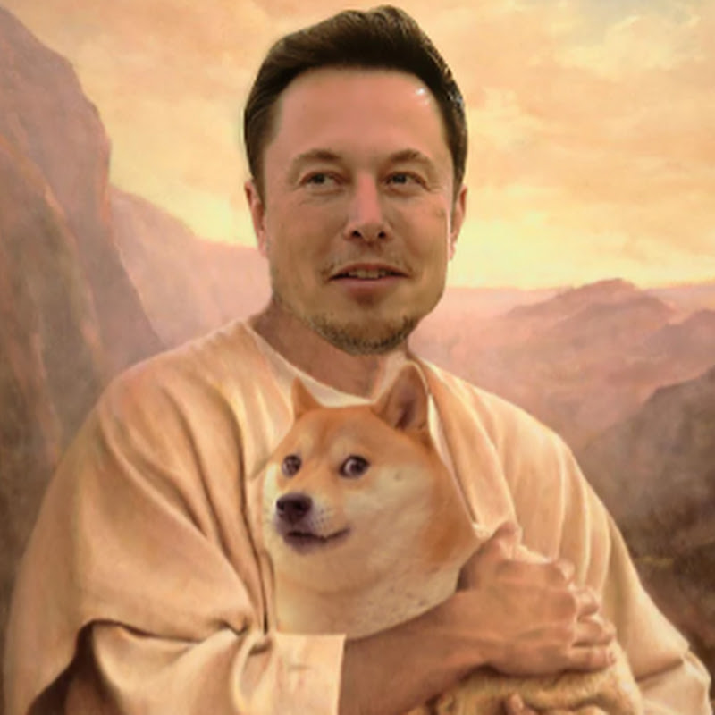 머스크의 모든 것