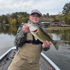 The Green Fish Guide