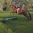 _7Ibe3Kj3kM-channel-avatar-Rubyroo