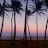 @Seedsofkauai