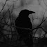 Hg5rkG4YVZY-channel-avatar- Corvus