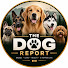 DBTOizQ0P_4-channel-avatar-The Dog Report