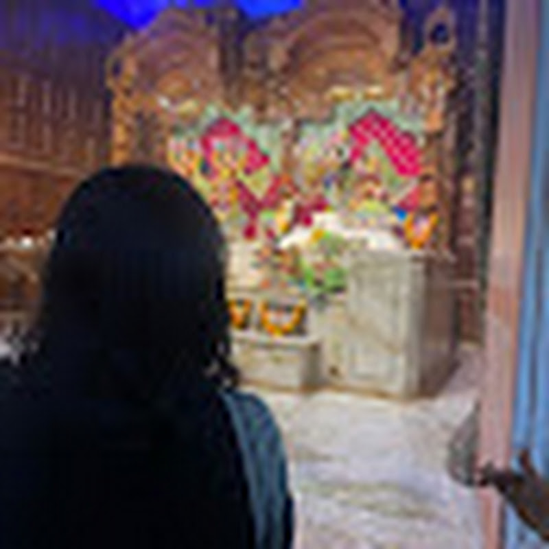 Hire 𝙿𝚛𝚊𝚐𝚢𝚊 𝚂𝚒𝚗𝚐𝚑  — History Documentaries & Lessons YouTube creator for sponsorships