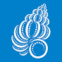 Bailey-Matthews National Shell Museum & Aquarium logo
