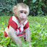 _CNC_2tQd1k-channel-avatar-Animal Lover Yoya&Yoko