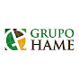 Grupo HAME Guatemala logo