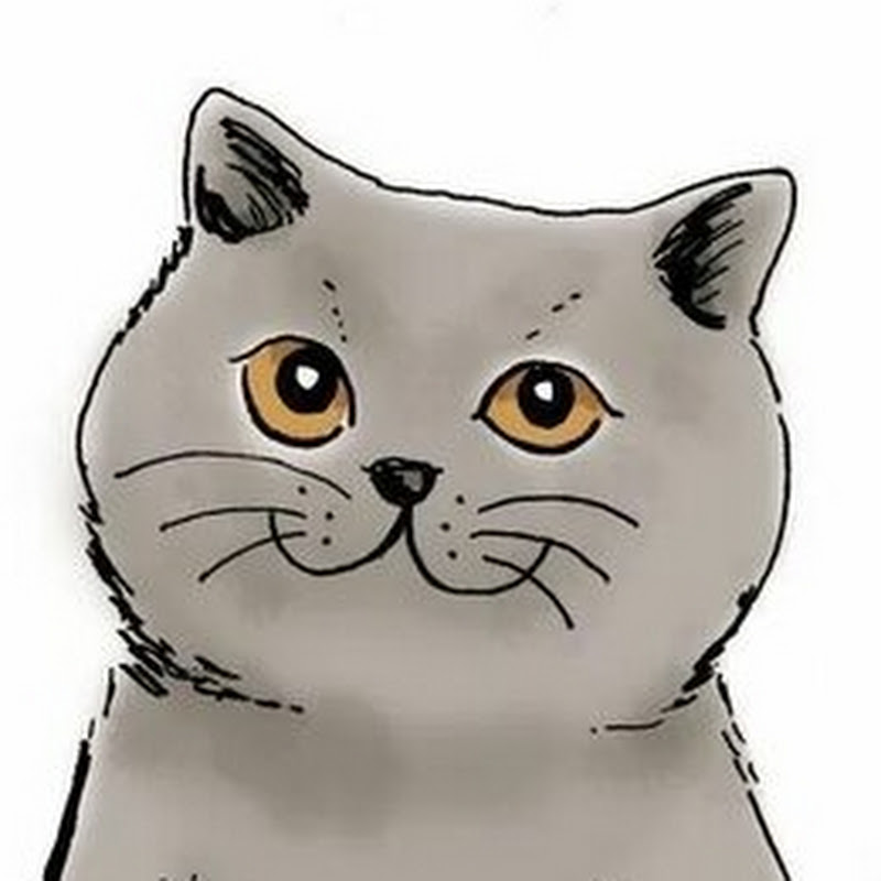 Channel Avatar