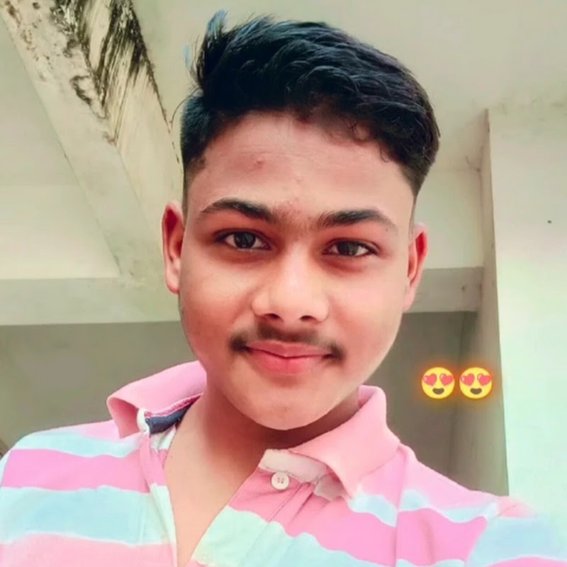 Vijayvlogs 