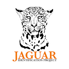 Jaguar Identification Project