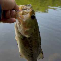 ERA outdoors