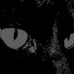 Qm1IwBiiqCs-channel-avatar-føurteen 