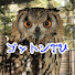 KP_iFfGTEPE-channel-avatar-ゴットンTV