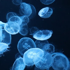 星の街アイコン画像