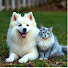 BE7P9tXrx8A-channel-avatar-ARMY OF FUNNY ANIMALS