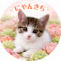 WW9lFb84M7k-channel-avatar-にゃんきちの多肉