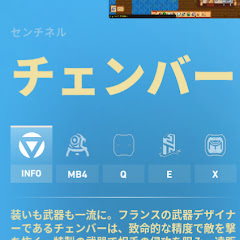 ir