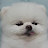 @버찌-h9v