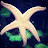 @Mono_8080's avatar