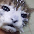 onKD3x5Ownk-channel-avatar-malrdrgz