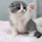 @즐겨먹는참치